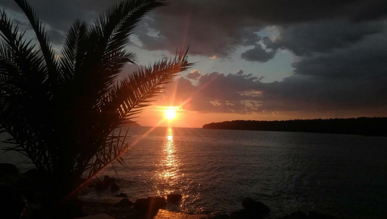 Vukovic * Stari Grad (Hvar)